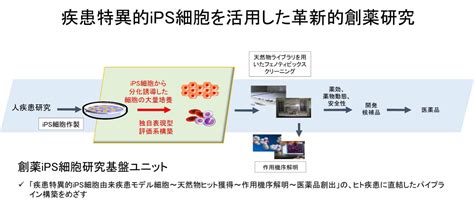 Ips細胞研究｜理研創薬・医療技術基盤プログラム