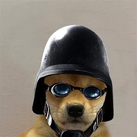 Doge Rainbow Six Siege Pfp