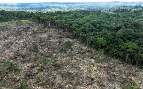 Mato Grosso Amazonas e Pará seguem como os estados as maiores