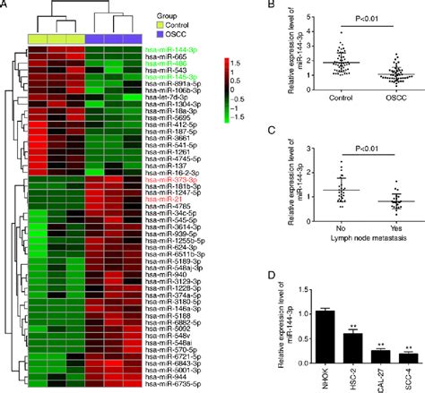 Figure From Mir P Inhibits Tumor Cell Growth And Invasion In