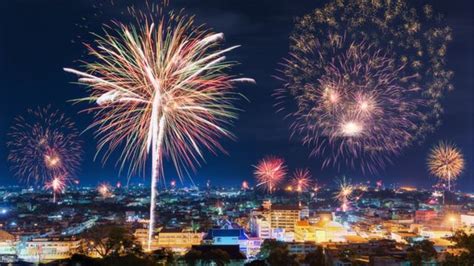 Animais e fogos de artifício como lidar o medo dos pets na virada