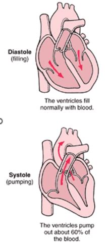 Patho Cardio Flashcards Quizlet