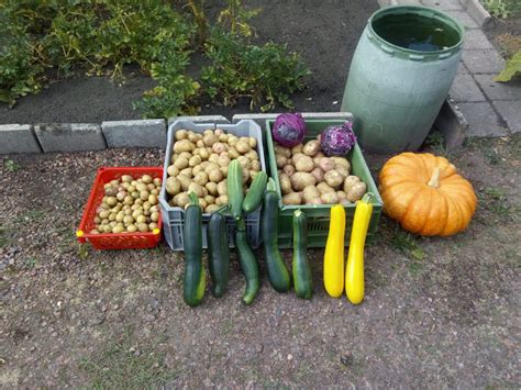 Foto Impressie Volkstuinvereniging Vreeland Amersfoort