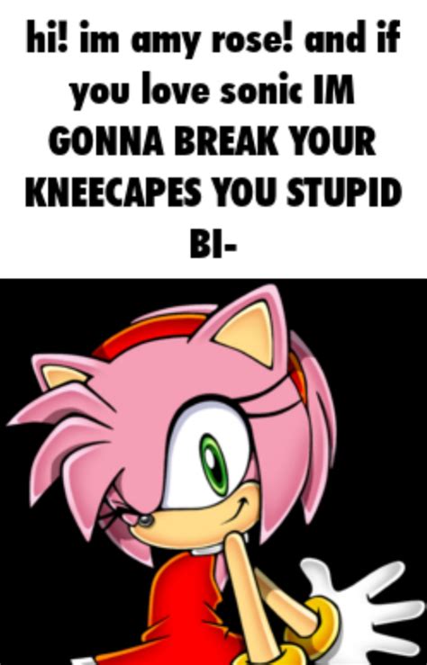 Amy rose moment : r/SonicTheHedgehog