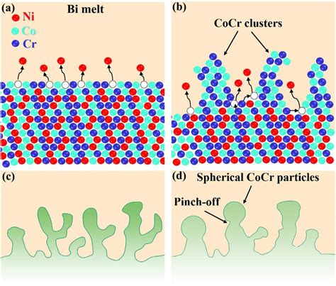 Schematic Illustrations Of The Nucleation And Growth Mechanisms During