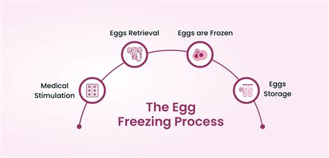 Egg Freezing Process And Cost In India Best Fertility Centre For You