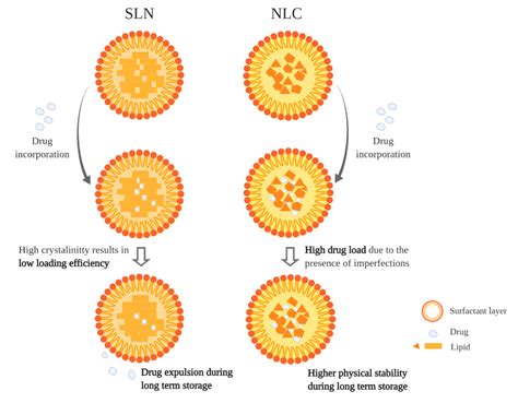 Solid Lipid Nanoparticles Review Articles - Infoupdate.org