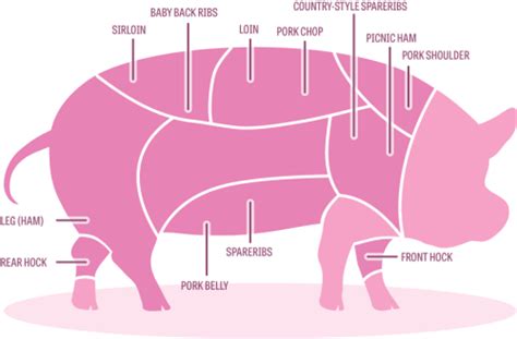 Pork 101 Know Your Cuts Expert Butcher Tom Mylan