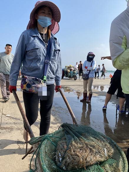 直击！烟台开海盛况！一大波海鲜来袭澎湃号·政务澎湃新闻 The Paper