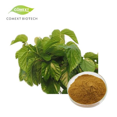 Comext ISO Fssc Factory Price Mulberry Leaf Extract 1 2 8 Dnj