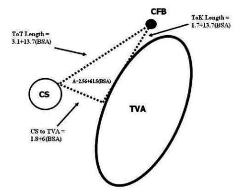 Dimensions Of The Triangle Of Koch This Drawing Illustrates The Download Scientific Diagram