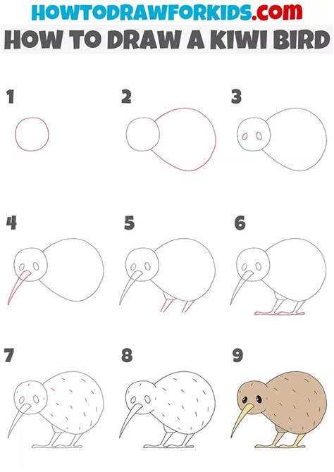 How to Draw a Kiwi Bird - Easy Drawing Tutorial For Kids | Kiwi bird ...