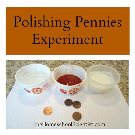 Penny Cleaning Experiment Worksheet Worksheets For Kindergarten