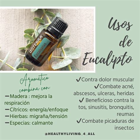 Usos de Eucalipto dōTERRA Recetas de aceites esenciales Aceites