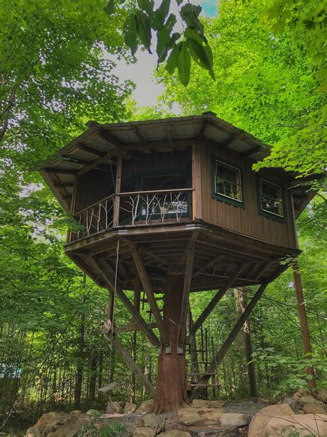 Bibliophile’s Magical Yurt Treehouse