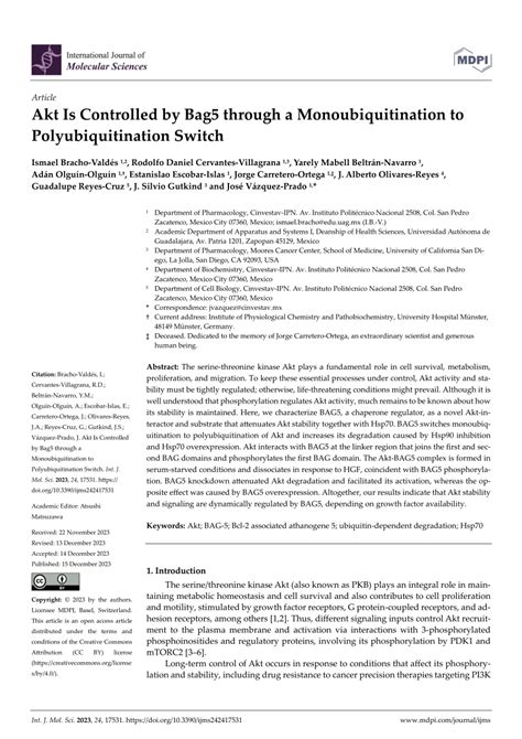 PDF Akt Is Controlled By Bag5 Through A Monoubiquitination To