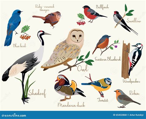 Bird Icons Colorful Realistic Birds Icons Set Stock Vector