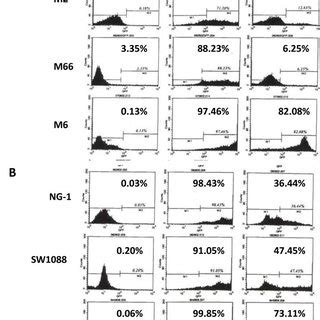 Induction Of Apoptosis By Ad Gtrail A Meningioma Cells And B