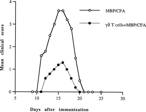 Effect Of Adoptive Transfer Of Gd T Cells On The Clinical Expression Of