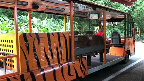 Singapore Zoo Tram Ride Full Video Youtube