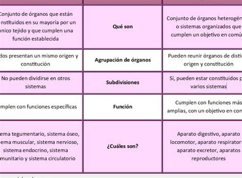 Diferencias Y Funcionamiento De órganos Aparatos Y Sistemas Descubre