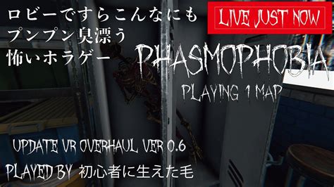 【 Phasmophobia ファスモフォビア】lv 2600 哀悼の意を示す過疎配信1マップソロ寝落ち睡眠導入の初心者フォビアな幽霊調査 主に難易度プロ [概要欄確認