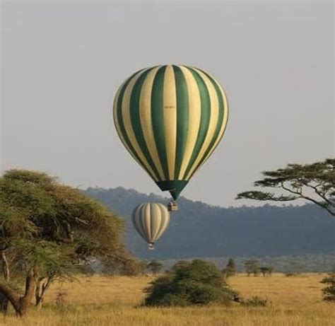 Tanzania Serengeti: Exploring the African Safari - The Best Travel and ...