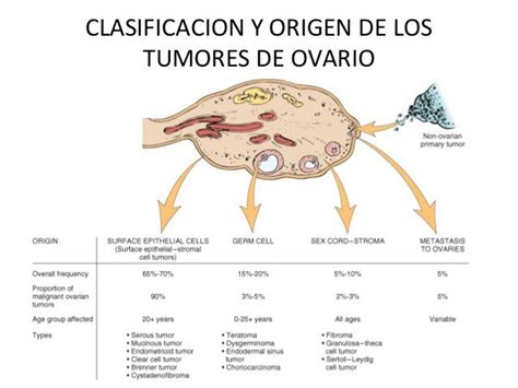 Patologia De Ovario