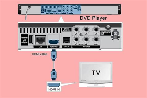 Come Collegare Un Lettore DVD A Una TV Semplici Passaggi