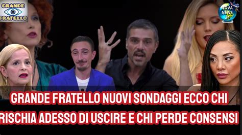 Grande Fratello Ecco I Nuovi Sondaggi E Chi Rischia Veramente Qualcuno