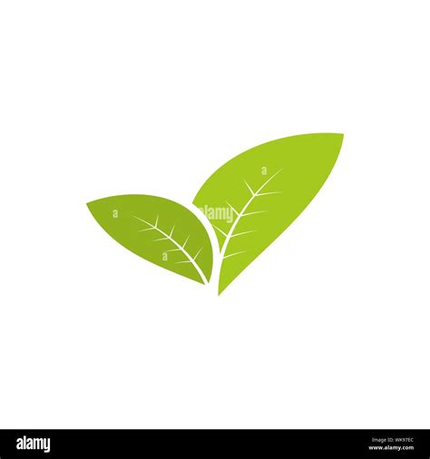 Leaf Graphic Design Template Vector Isolated Illustration Stock Vector