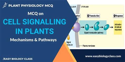 Mcq On Cell Signalling In Plants Easybiologyclass