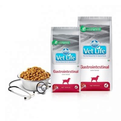 Vet Life Cane Gastro Intestinal Kg