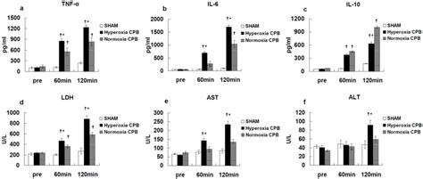 Plasma levels of tumor necrosis factor TNF α a interleukin IL 6