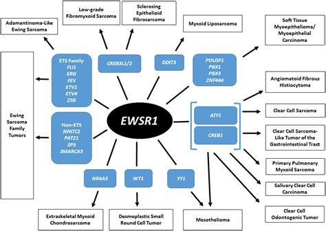 EWSR1 Fusions Ewing Sarcoma And Beyond Jo 2020 Cancer