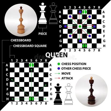 Queen Chess Piece Made In The Form Of Illustrations And Icons Stock