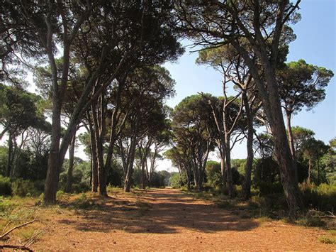 Natural Park Of Migliarino San Rossore And Massaciuccoli Hotel Gabrini