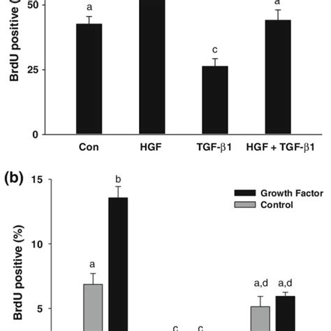 Tgf B1 Maintains Quiescence In The Presence Of Hgf A Hgf 10 Ngml Download Scientific