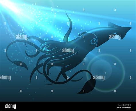 Giant Squid Underwater Hi Res Stock Photography And Images Alamy