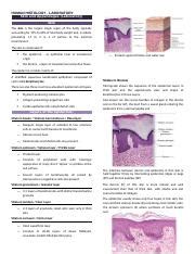 SKIN AND APPENDEGES Docx HUMAN HISTOLOGY LABORATORY Skin And