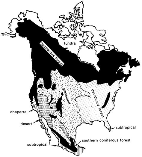 Biomes Of North America Worksheet Key Indugiova