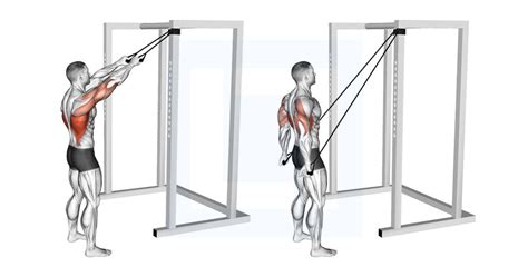 Cable Straight Arm Pulldown Guide Benefits And Form