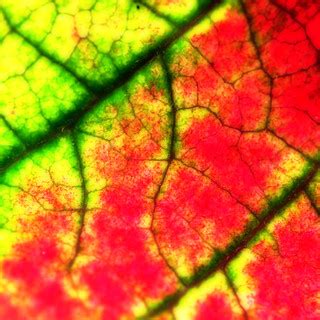 Alien canals | Alien canals. | Kevin Dooley | Flickr