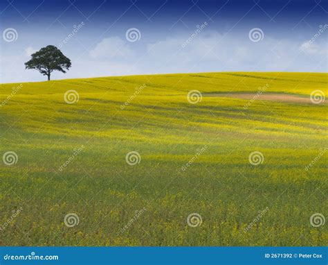 Rural English Landscape stock photo. Image of clouds, arable - 2671392