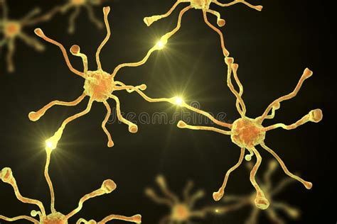 Neuronal Synapses Brain Cells Stock Illustration Illustration Of