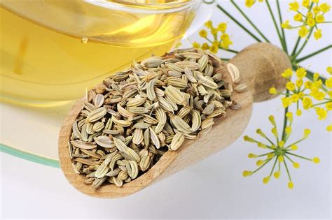 Health Benefits of Fennel Seeds