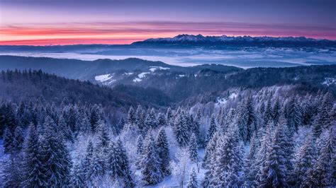 snow covered mountain  deep forest landscape view hd winter