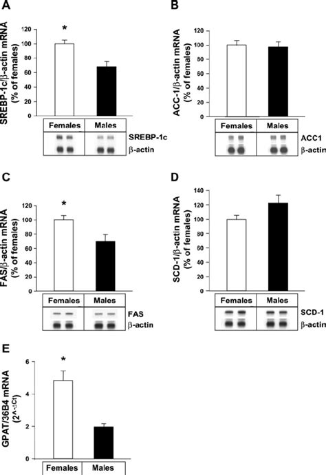 Hepatic MRNA Expression Of Sterol Regulatory Element Binding Protein 1c