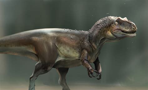 Paleoart 3 Paleo Collection From 2019 On Behance