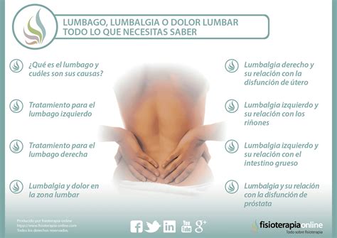 Lumbago Lumbalgia O Dolor Lumbar Ll Malo Como Quieras Descubre Todo